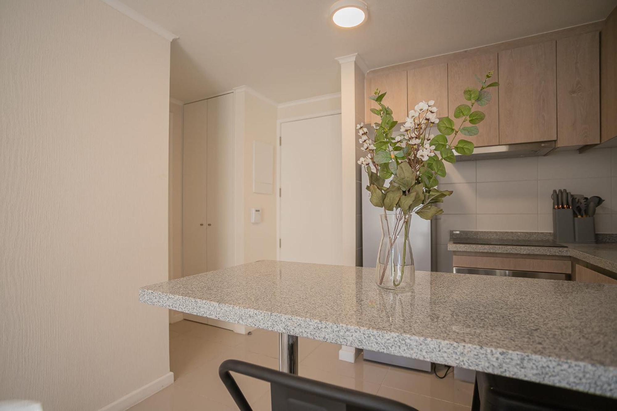 Apartamento Vive Experiencia De Calidad En Santiago